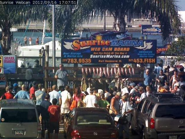 orlando princess fishing