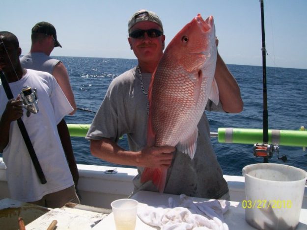 Snapper
