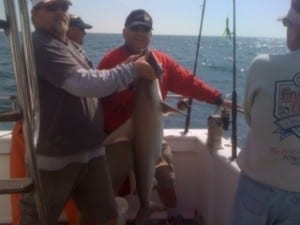 shark fishing florida
