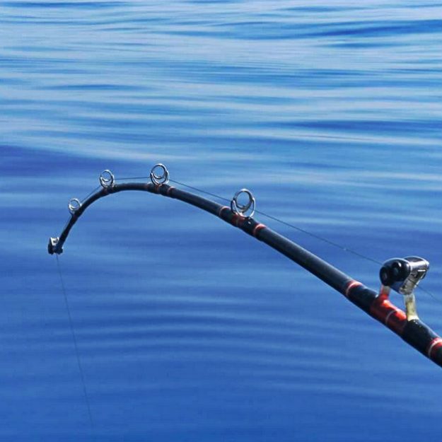 florida fishing trips