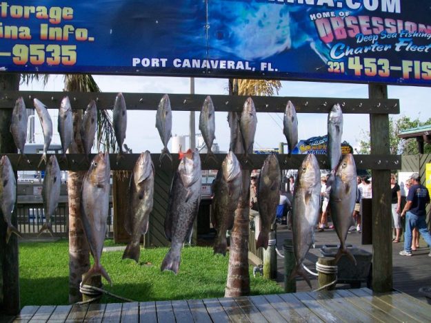 deep sea fishing report port canaveral florida
