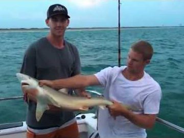 shark fishing near Cape Canaveral