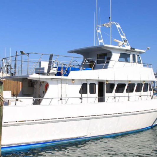 deep sea fishing ocean fish