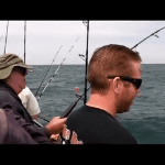 shark fishing florida videos