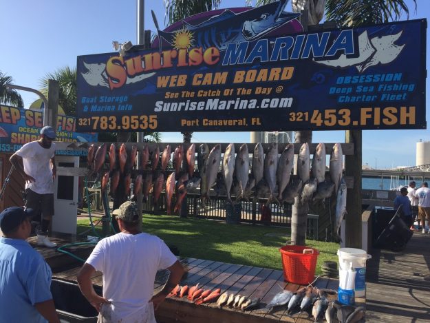 Deep Sea Fishing Port Canaveral catch